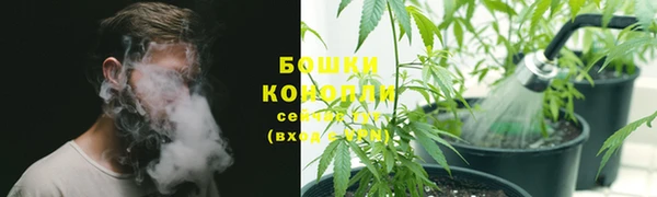 мдпв Вязники