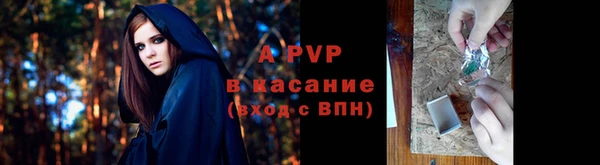 ECSTASY Вяземский