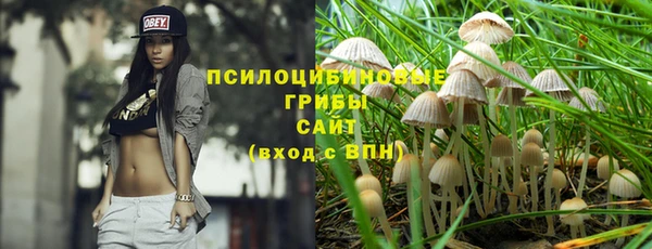 ALPHA PVP Горно-Алтайск