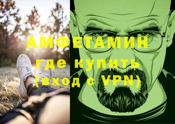 сатива Ступино