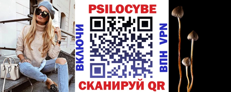 Псилоцибиновые грибы Psilocybine cubensis  Зарайск 